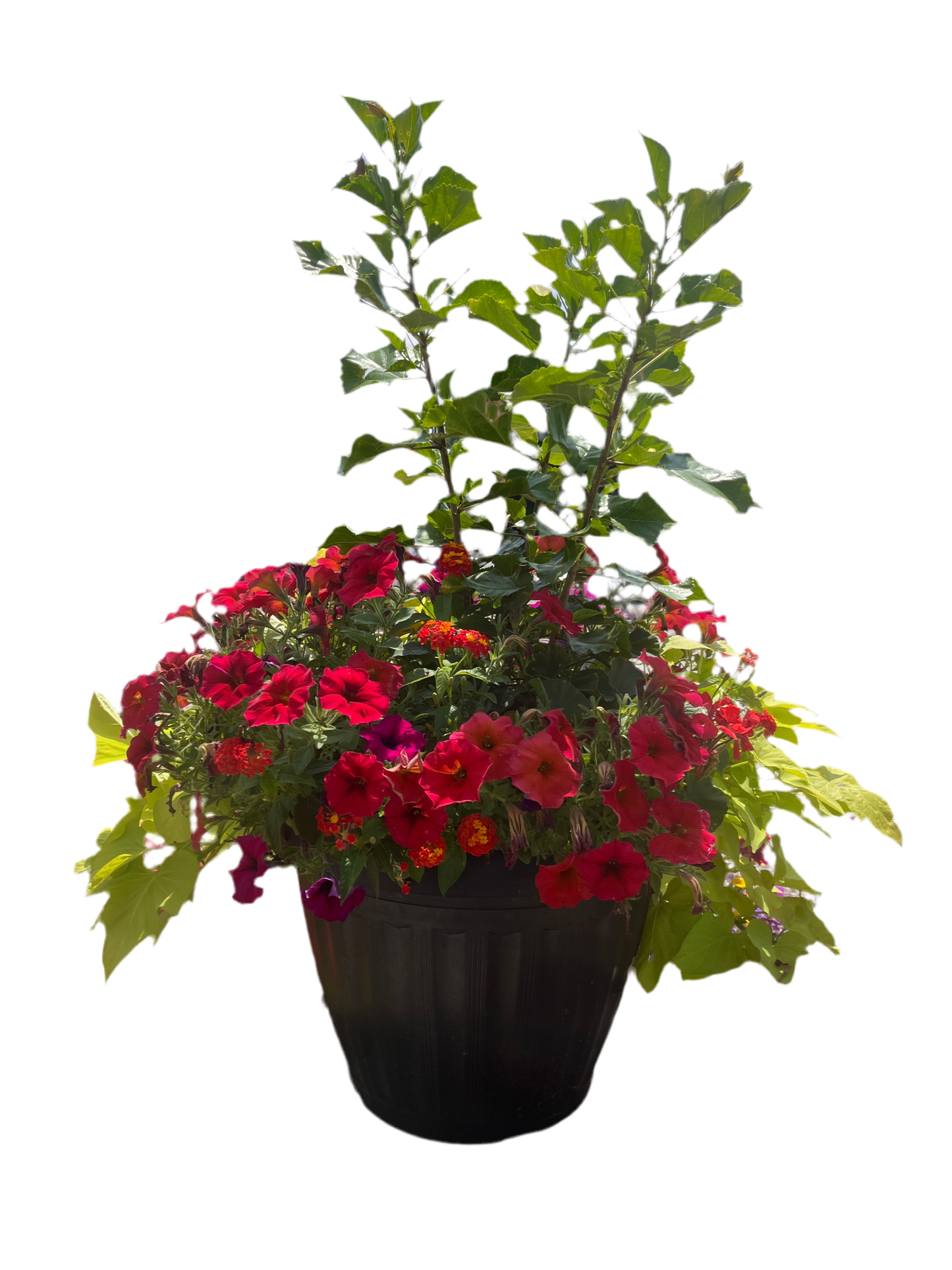 18-inch Mega Planter Basket