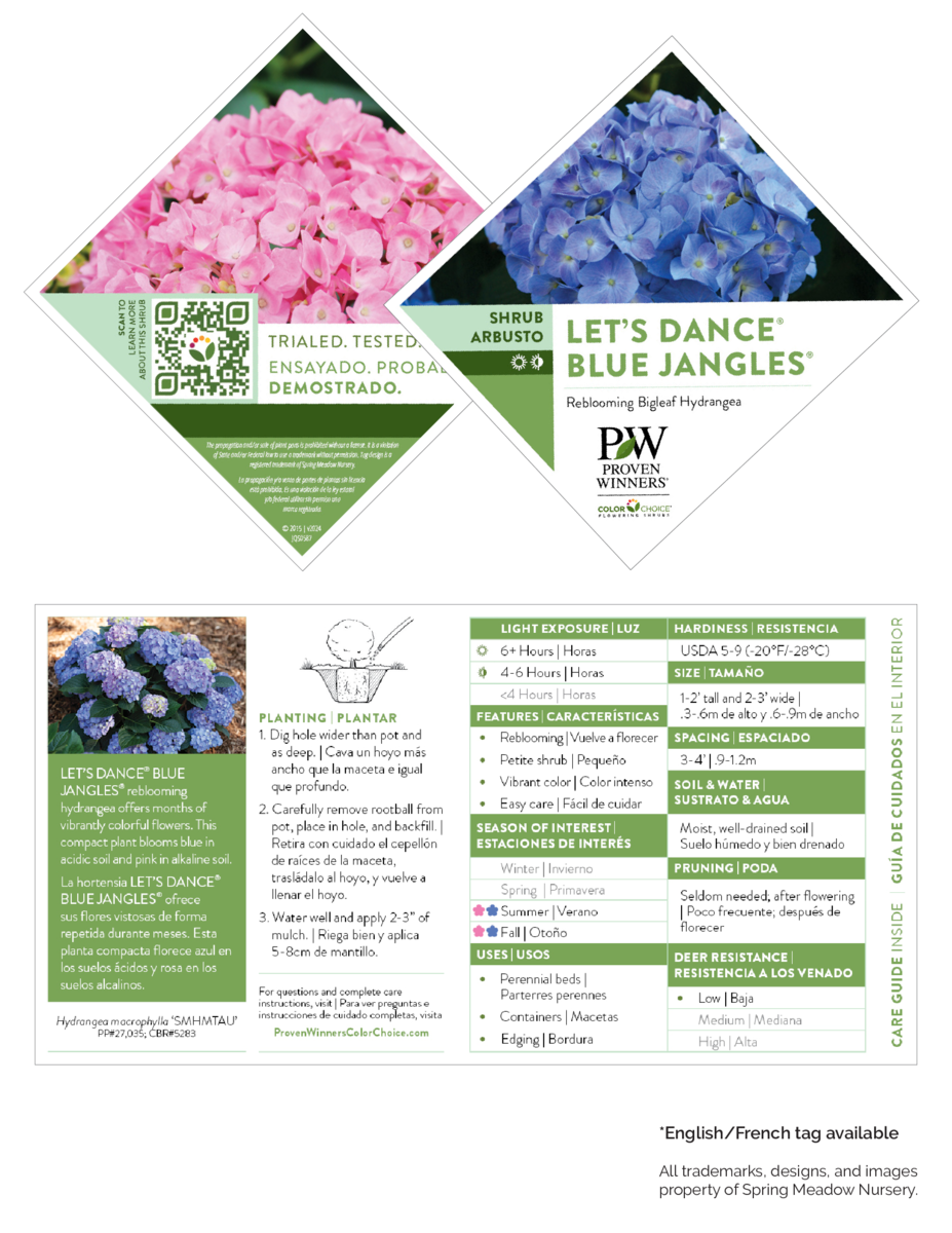 Hydrangea Let's Dance® Blue Jangles® PW®
