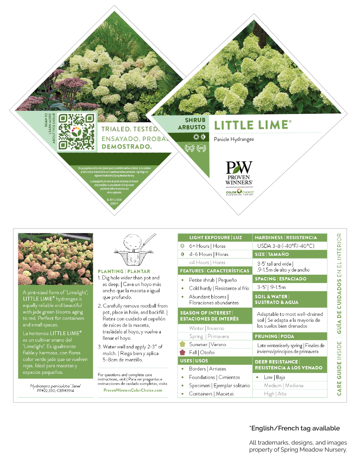 Hydrangea Little Lime® PW®