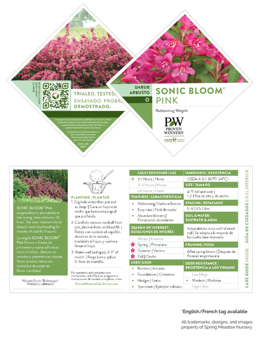 Weigela florida Sonic Bloom® Pink PW®