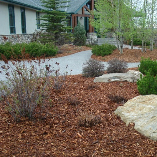 Cedar Mulch BULK