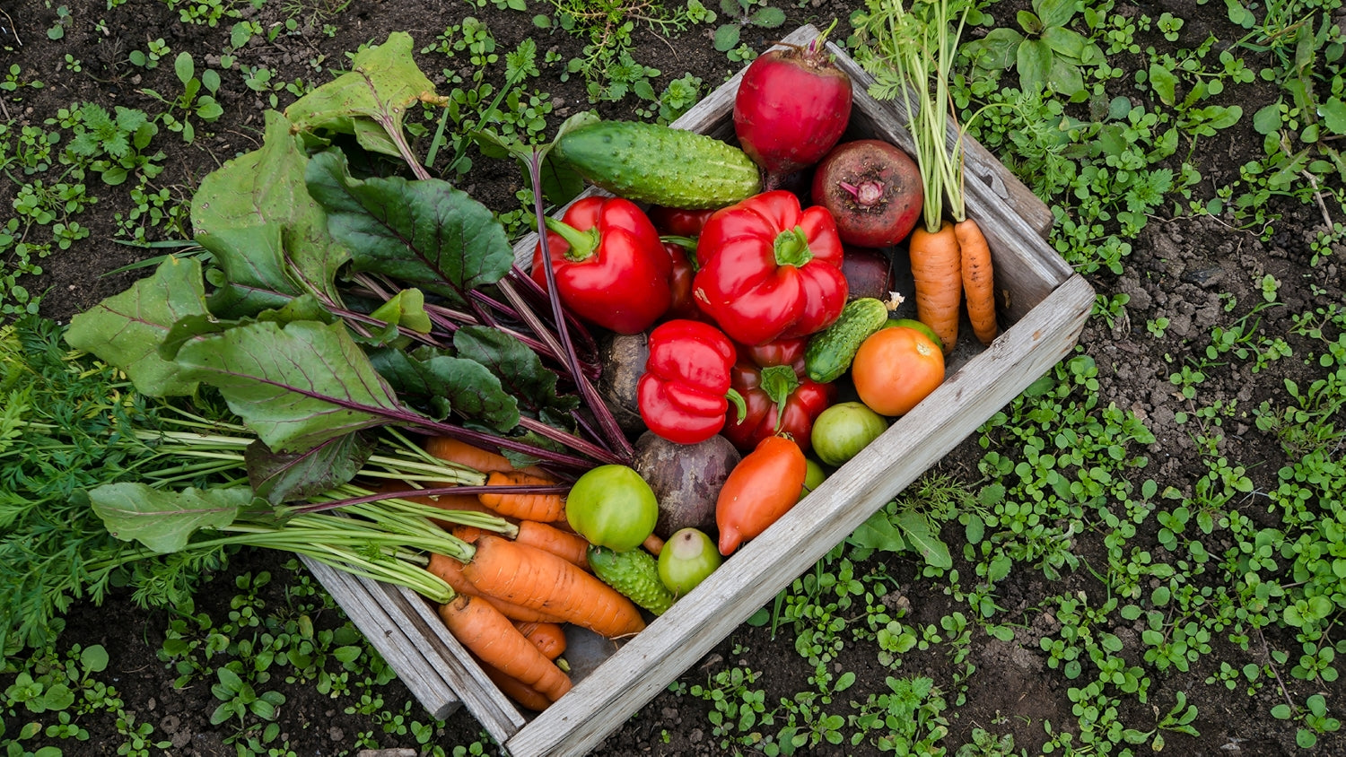 Vegetables