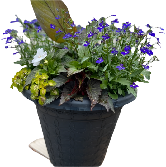 Annual Jumbo Planter