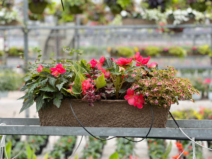 24-inch Window Box Fibre