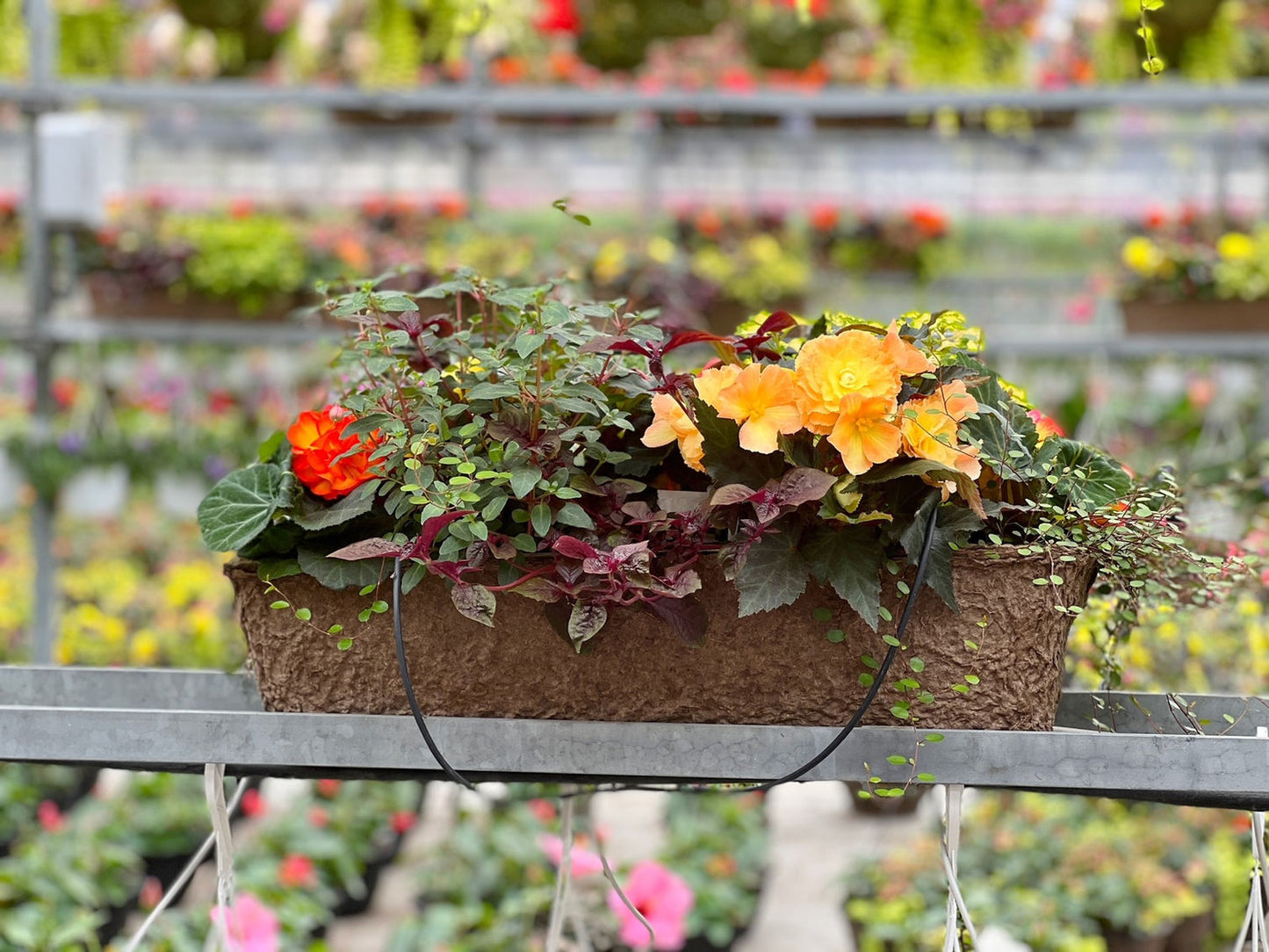 24-inch Window Box Fibre