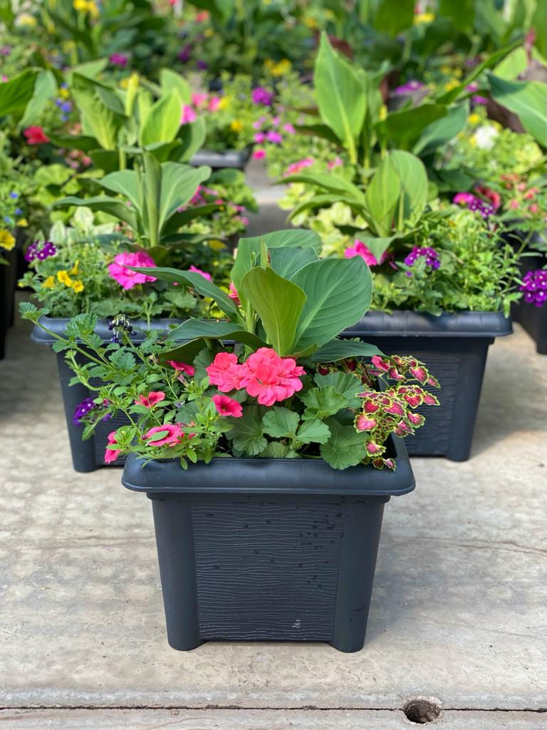 14-inch Square Planter