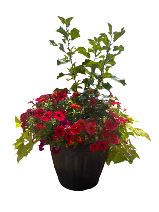 18-inch Mega Planter Basket
