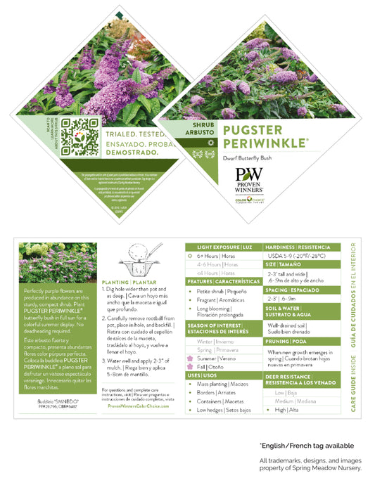 Buddleia x Pugster® Periwinkle PW®