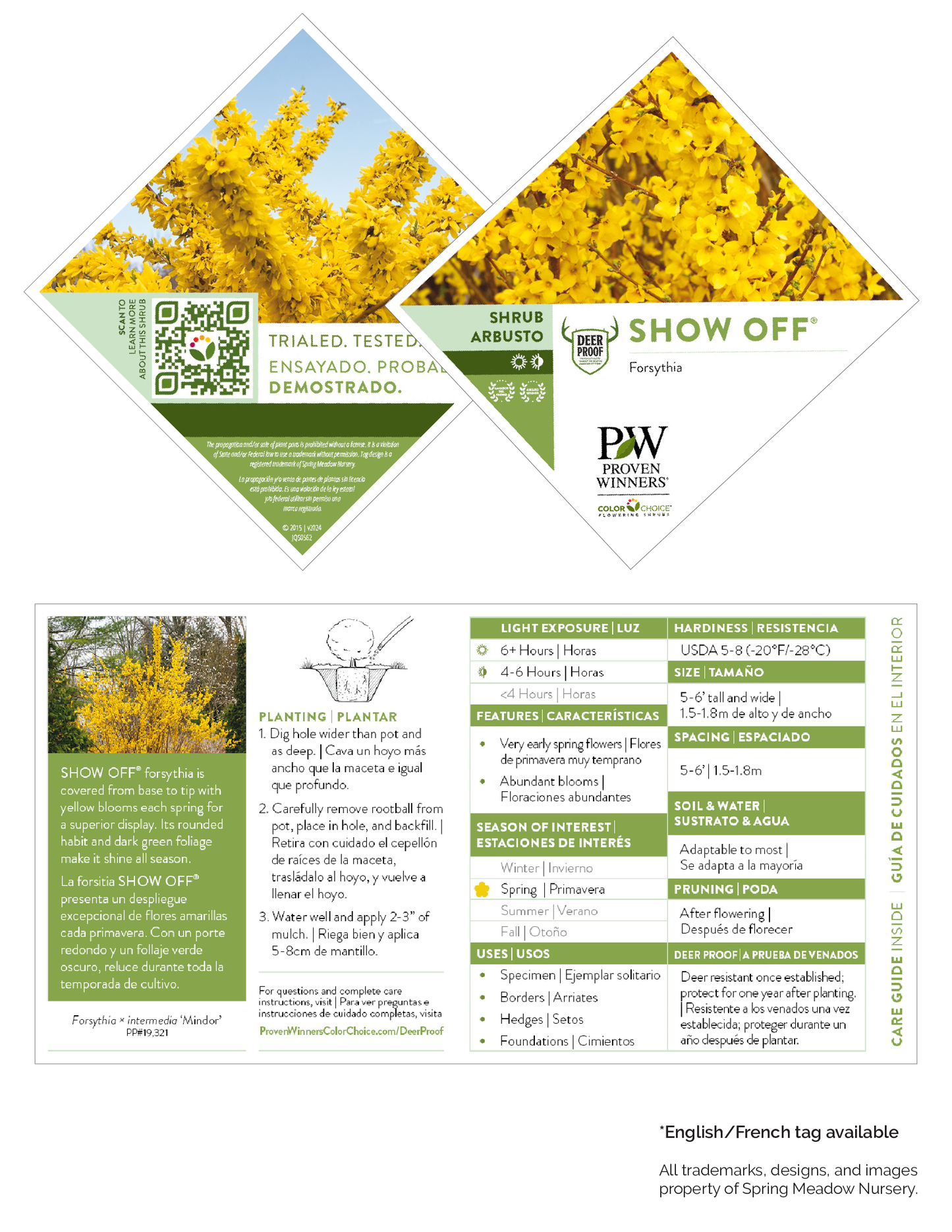 Forsythia Show Off™ PW®