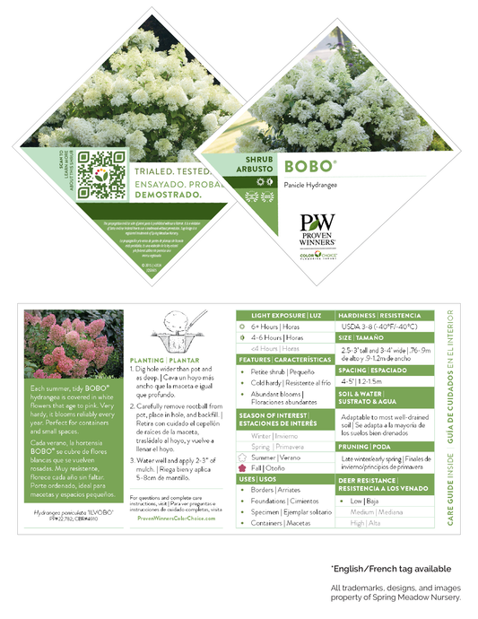 Hydrangea Bobo® PW®
