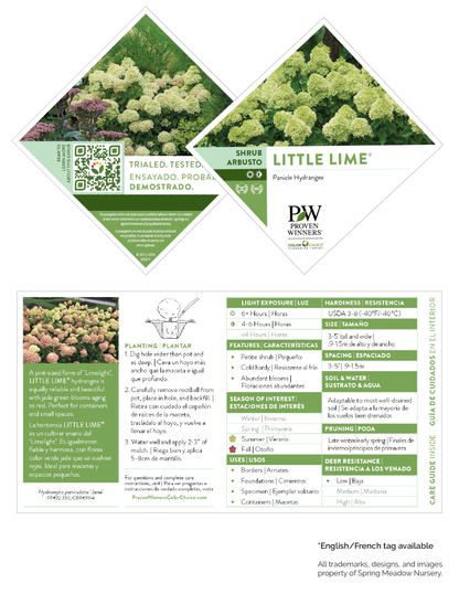 Hydrangea Little Lime® PW®