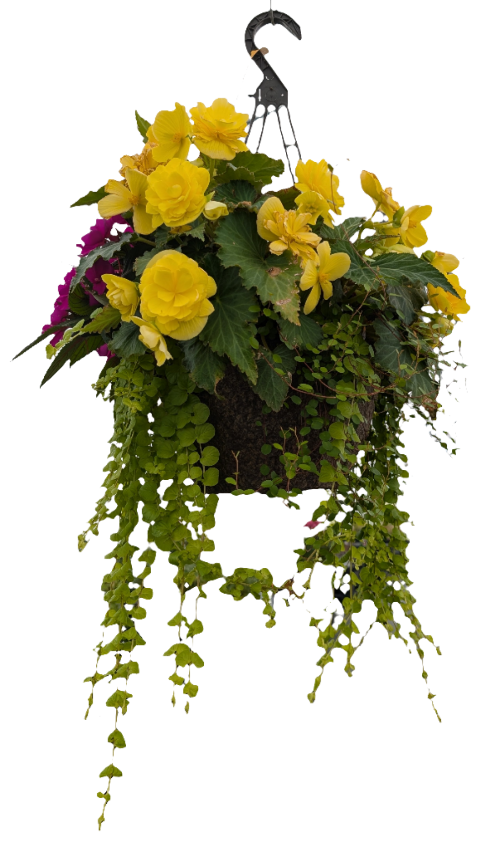 12" Hanging Fibre Basket