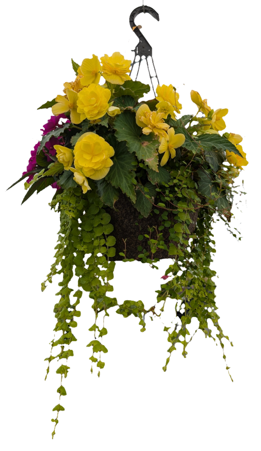 12" Hanging Fibre Basket
