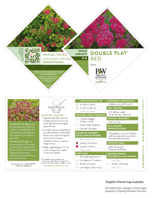 Spiraea japonica Double Play® 'Red' PW®