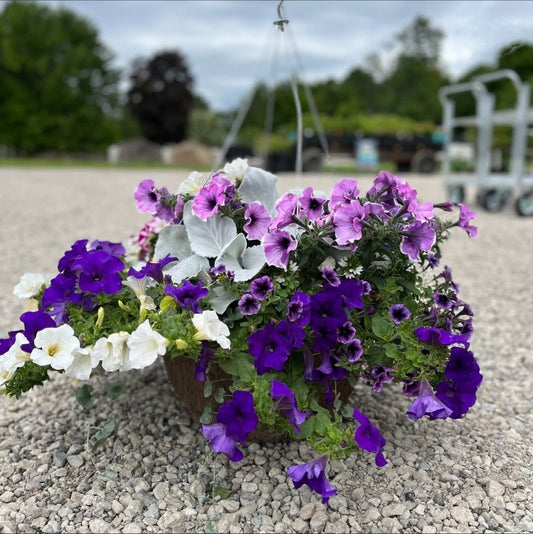 18-inch Hanging Basket Fibre