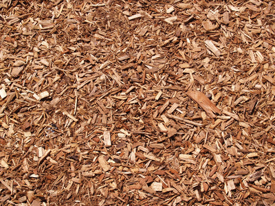Cedar Mulch BULK