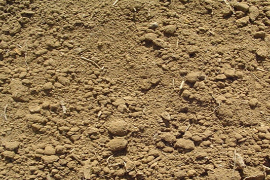 Screened Landscape Soil (All Purpose Soil) BULK