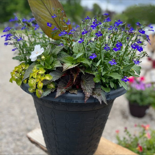 Annual Jumbo Planter